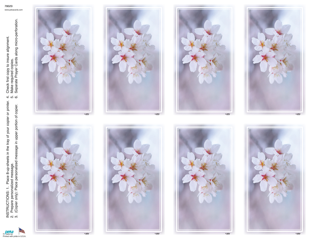 Dogwood <br>Premium 8-up Prayer Cards