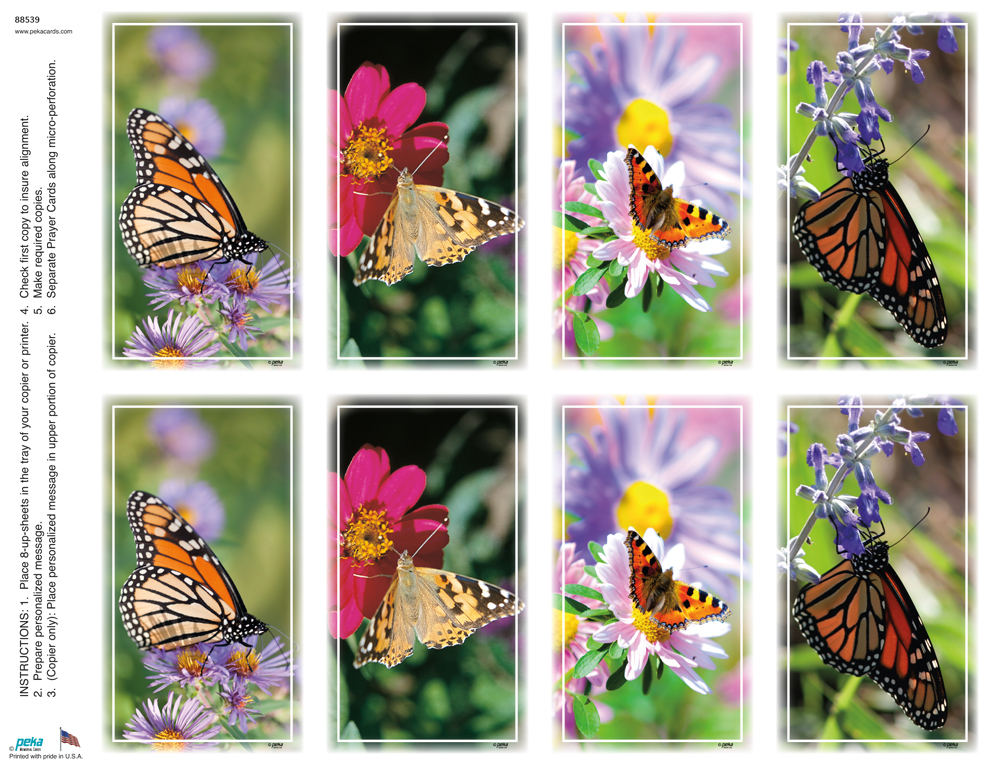 Butterfly Assortment <br>Classic 8-up Prayer Cards