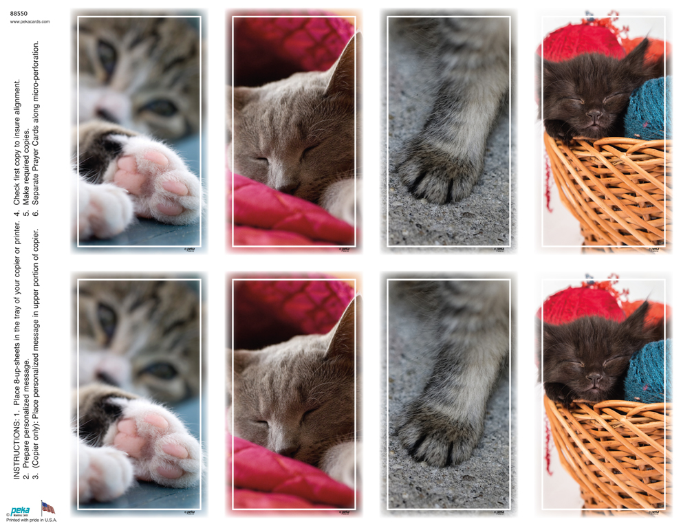 Cat Assortment <br>Classic 8-up Prayer Cards