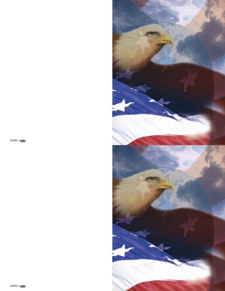 Patriotic <br>2-up Folders