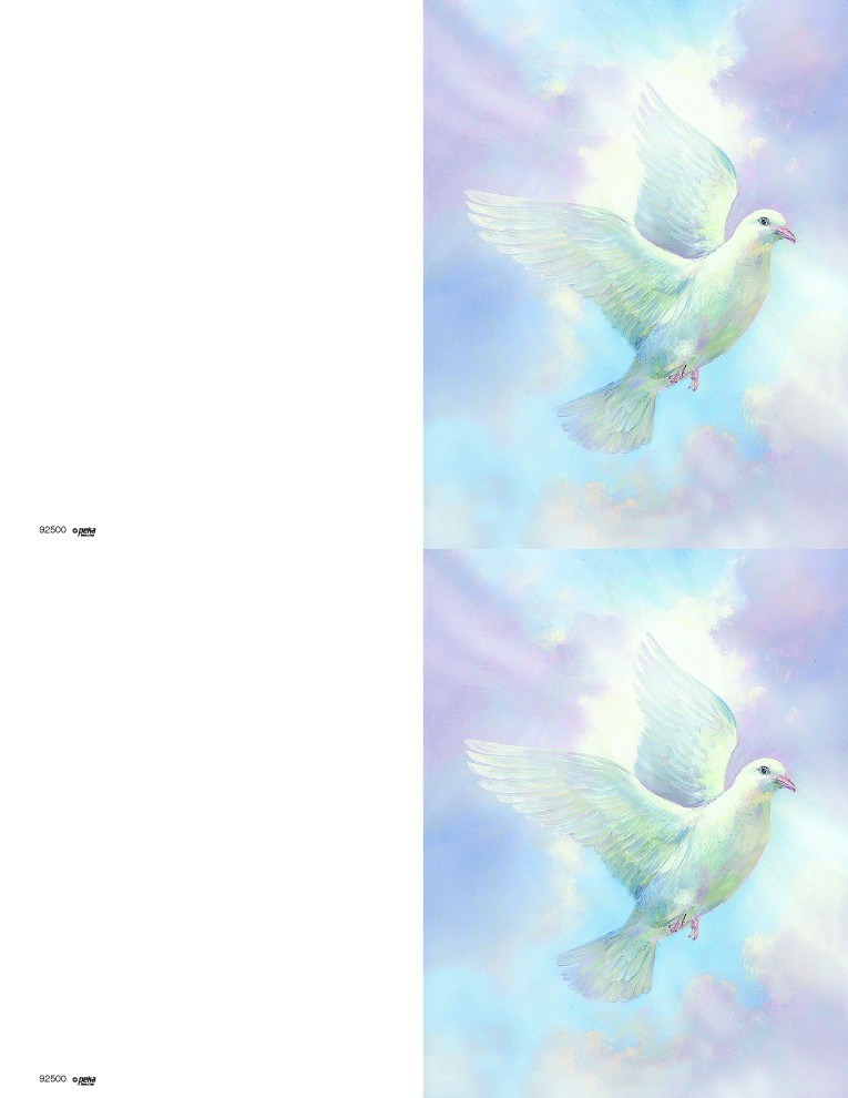 Peace Dove <br>2-up Folders