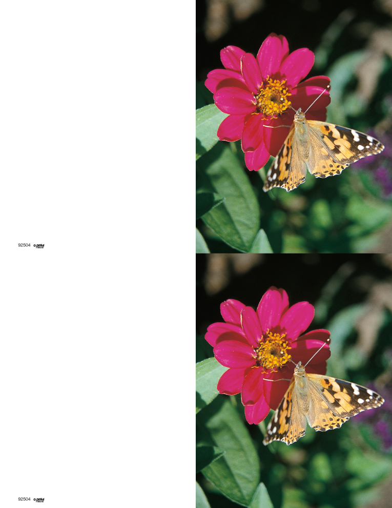 God's Garden <br>2-up Folders