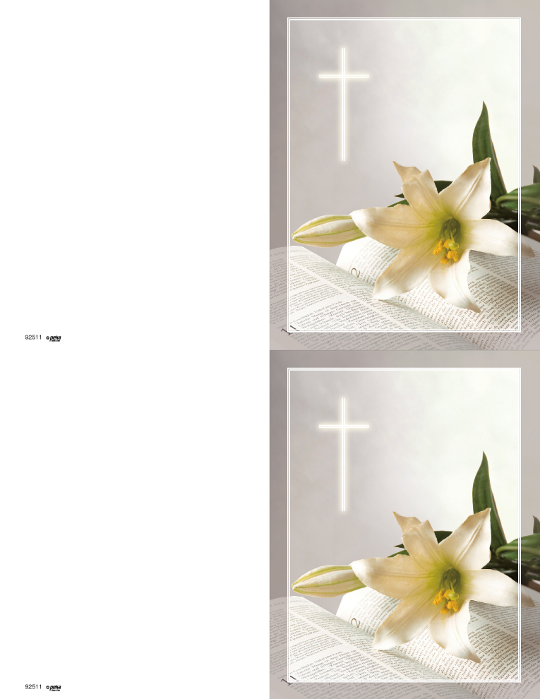 Bible with Lily <br>2-up Folders