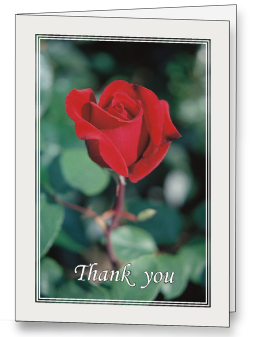 Red Rose <br>Acknowledgement Cards <br>25 per box