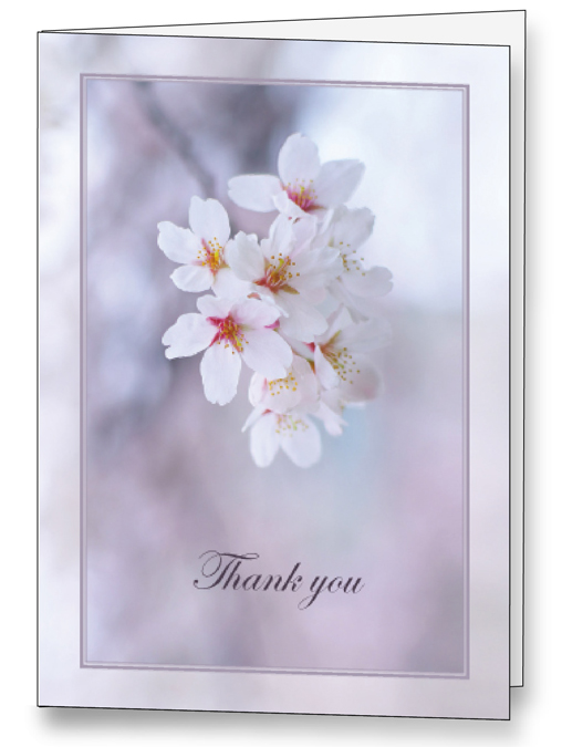 Dogwood <br>Acknowledgement Cards <br>25 per box