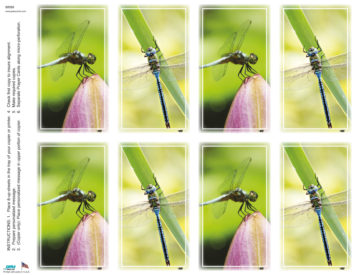 Dragonfly Assortment <br>Classic 8-up Prayer Cards *DISCONTINUED*