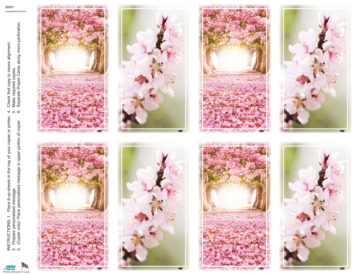 Cherry Blossoms <br>Classic 8-up Prayer Cards