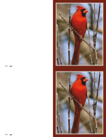 Cardinal <br>2-up Folders
