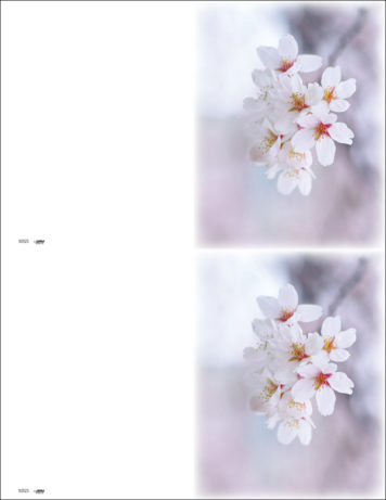 Dogwood <br>2-up Folders