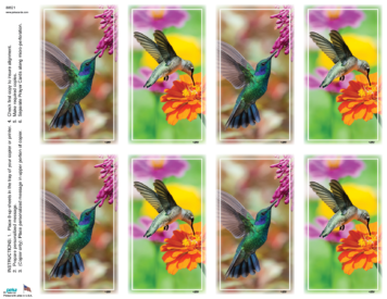 Hummingbird Assortment <br>Classic 8-up Prayer Cards