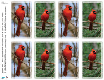 Cardinal Assortment <br>Classic 8-up Prayer Cards