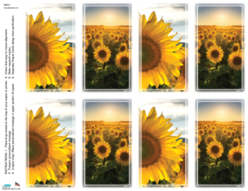 Sunflower Assortment <br>Classic 8-up Prayer Cards